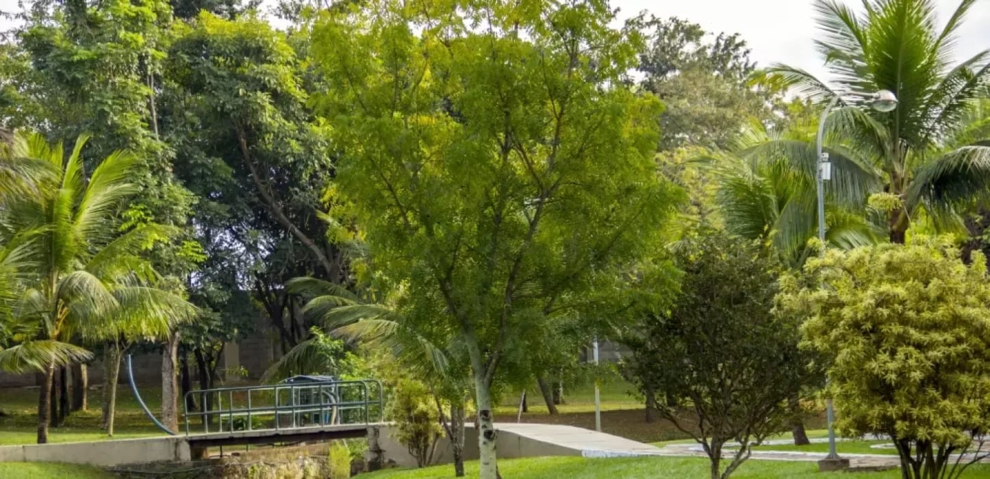 Jardins Florença, imagem 13