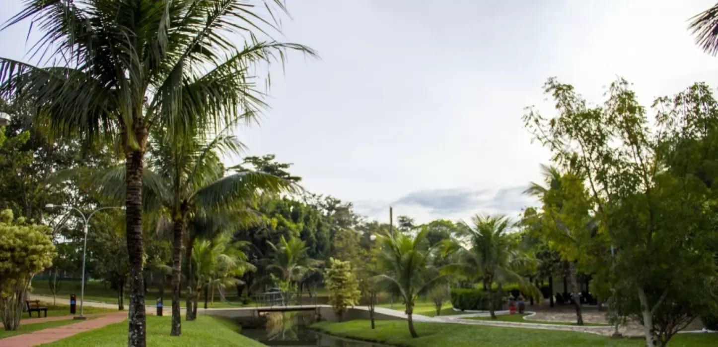 Jardins Marselha, imagem 7