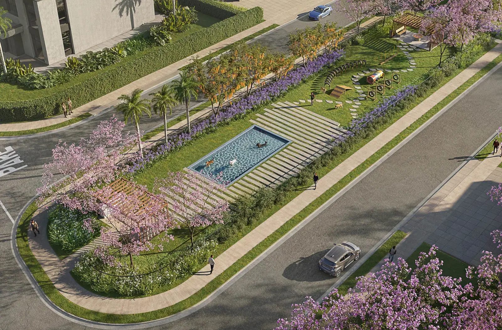 Clube Pet com piscina para cães